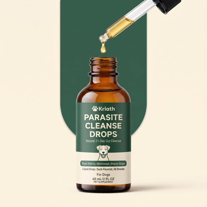 Ormollo™ Digestive Support Liquid