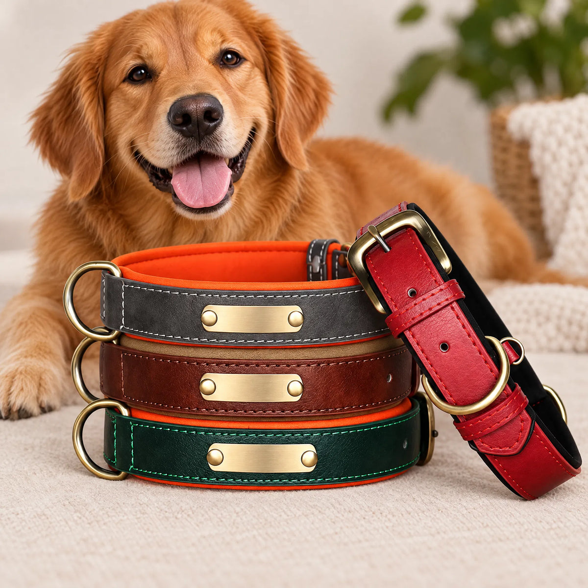 Ormollo™ Personalised Leather Dog Collar with Engraved ID Plate