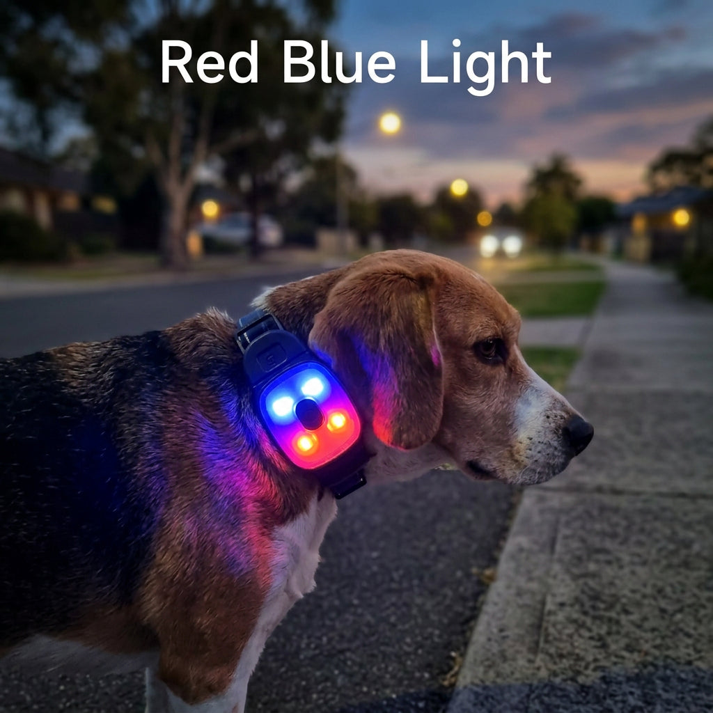 Ormollo™ LED Dog Collar Safety Light for Night Walks