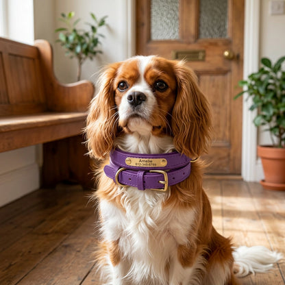 Ormollo™ Personalised Leather Dog Collar with Engraved ID Plate