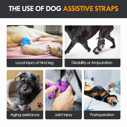 Dog Sling for Large Dogs Hind Leg Support to Help Rehabilitate The Hind Limbs of Elderly Dogs with Weak Hind Legs Disabilities
