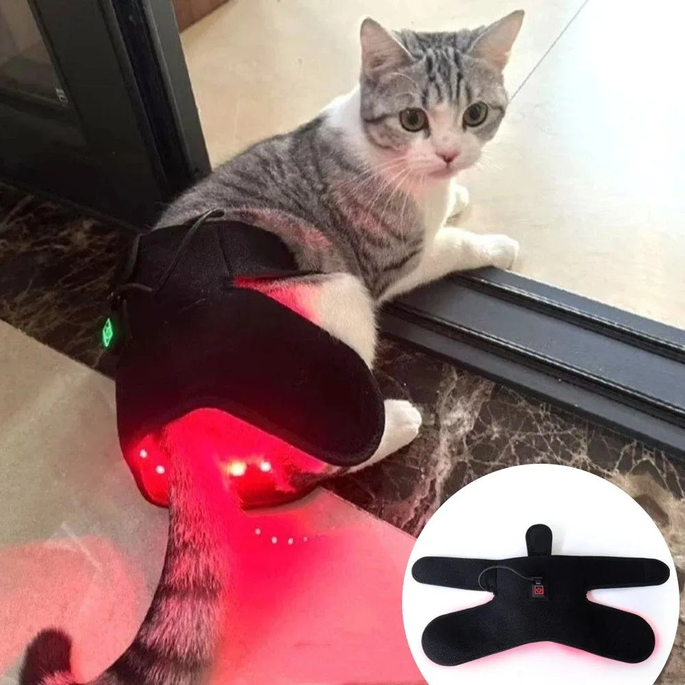 Automatic Timing Pet Red Light Recovery Device Promote Circulation Relieve Discomfort Dog Infrared Light Knee Brace
