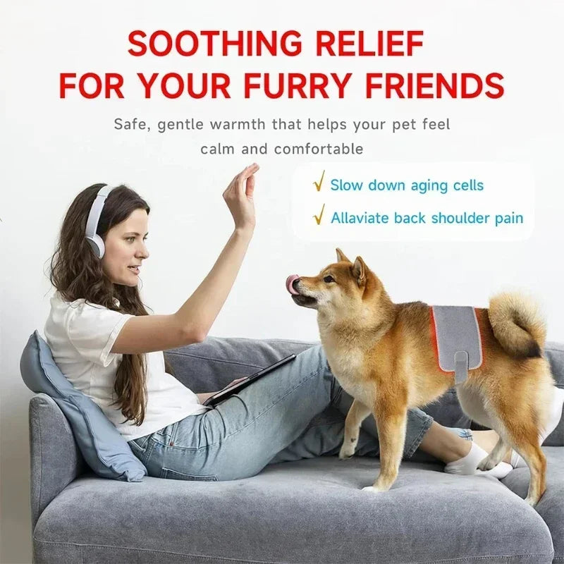 Veterinary use Red light LED therapy physiotherapy equipment for Pet dog pain relief pain reduce