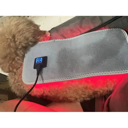 Veterinary use Red light LED therapy physiotherapy equipment for Pet dog pain relief pain reduce