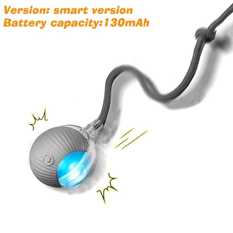 Ormollo™ Automatic Rolling Dog Ball