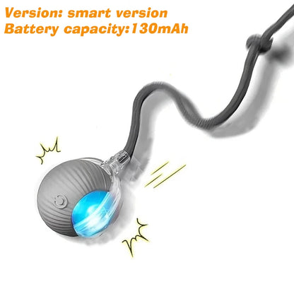 Ormollo™ Automatic Rolling Dog Ball