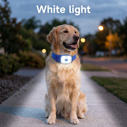 Ormollo™ LED Dog Collar Safety Light for Night Walks
