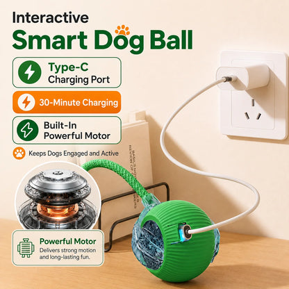 Ormollo™ Automatic Rolling Dog Ball