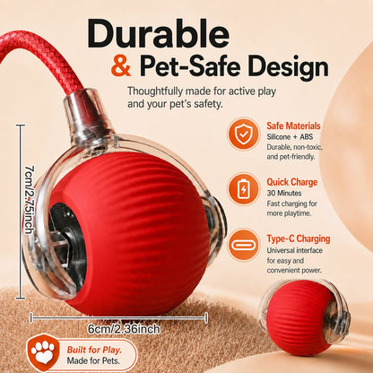 Ormollo™ Automatic Rolling Dog Ball