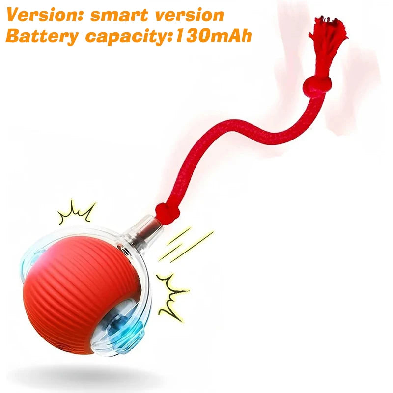 Ormollo™ Automatic Rolling Dog Ball