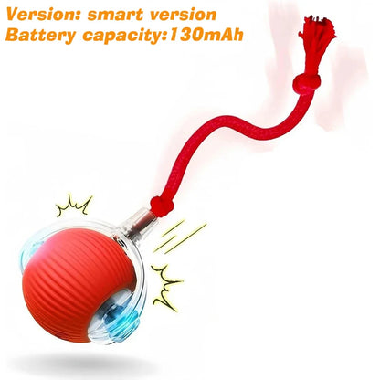 Ormollo™ Automatic Rolling Dog Ball