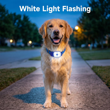 Ormollo™ LED Dog Collar Safety Light for Night Walks