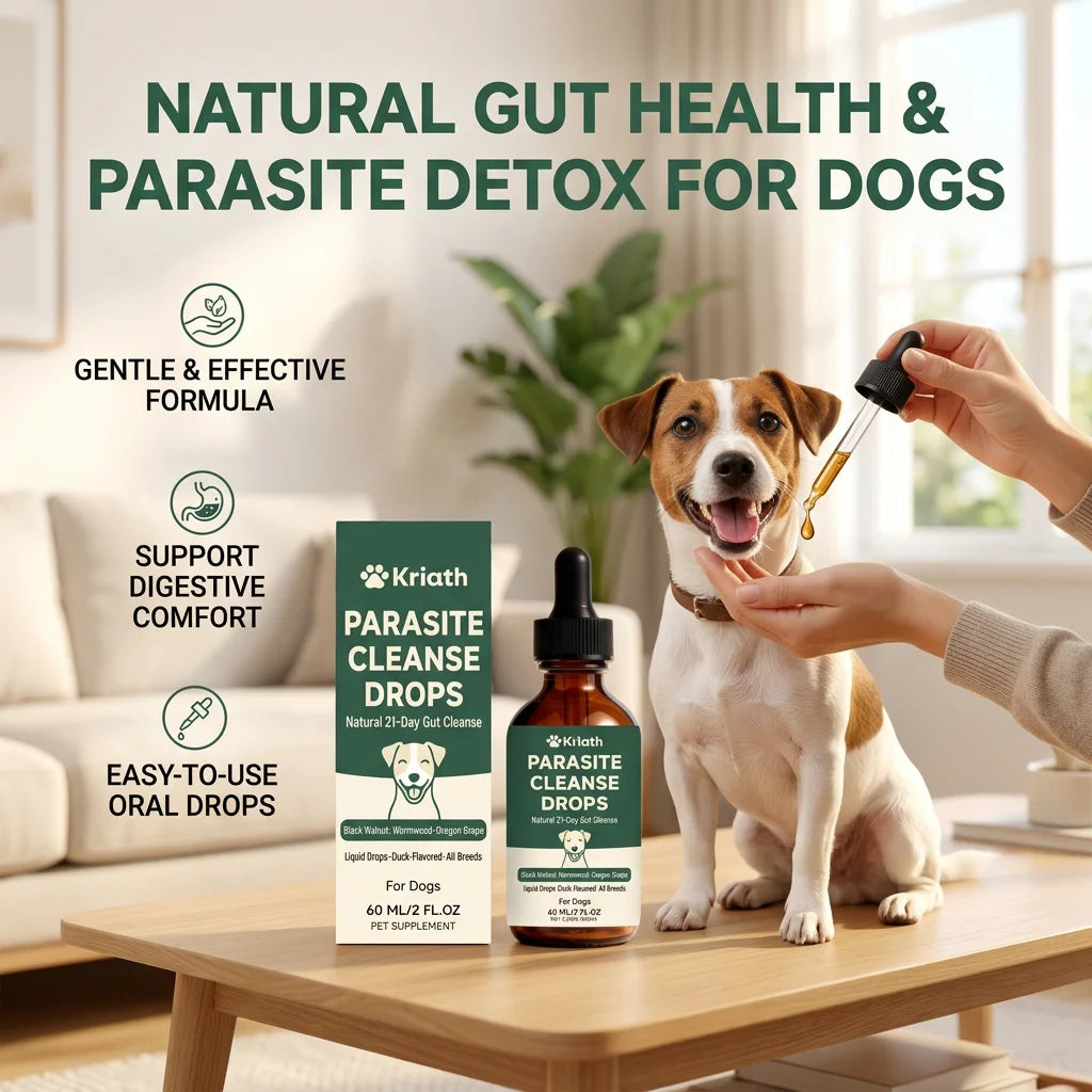 Ormollo™ Digestive Support Liquid
