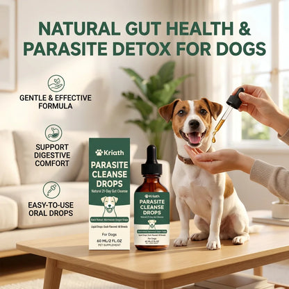 Ormollo™ Digestive Support Liquid