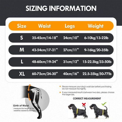 Dog Sling for Large Dogs Hind Leg Support to Help Rehabilitate The Hind Limbs of Elderly Dogs with Weak Hind Legs Disabilities