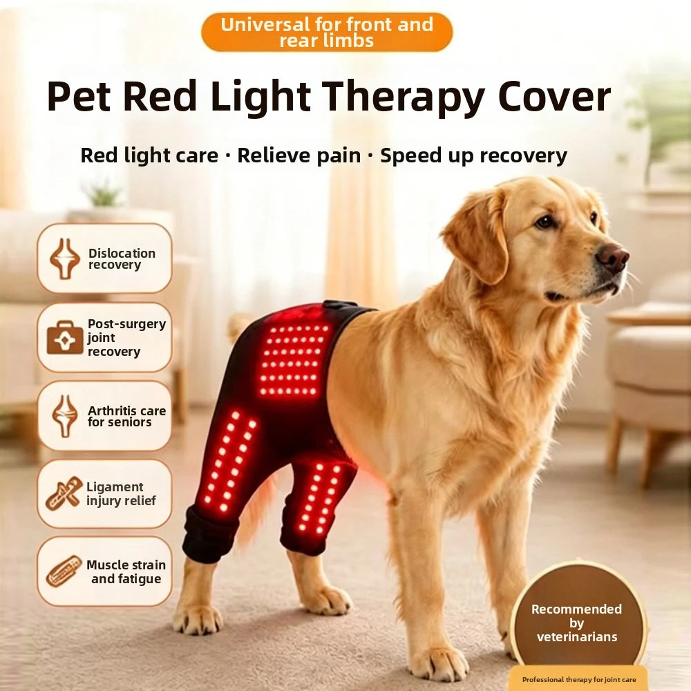 Automatic Timing Pet Red Light Recovery Device Promote Circulation Relieve Discomfort Dog Infrared Light Knee Brace
