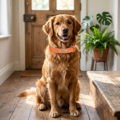 Ormollo™ Personalised Leather Dog Collar with Engraved ID Plate