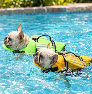 Ormollo™ Dog Life Jacket