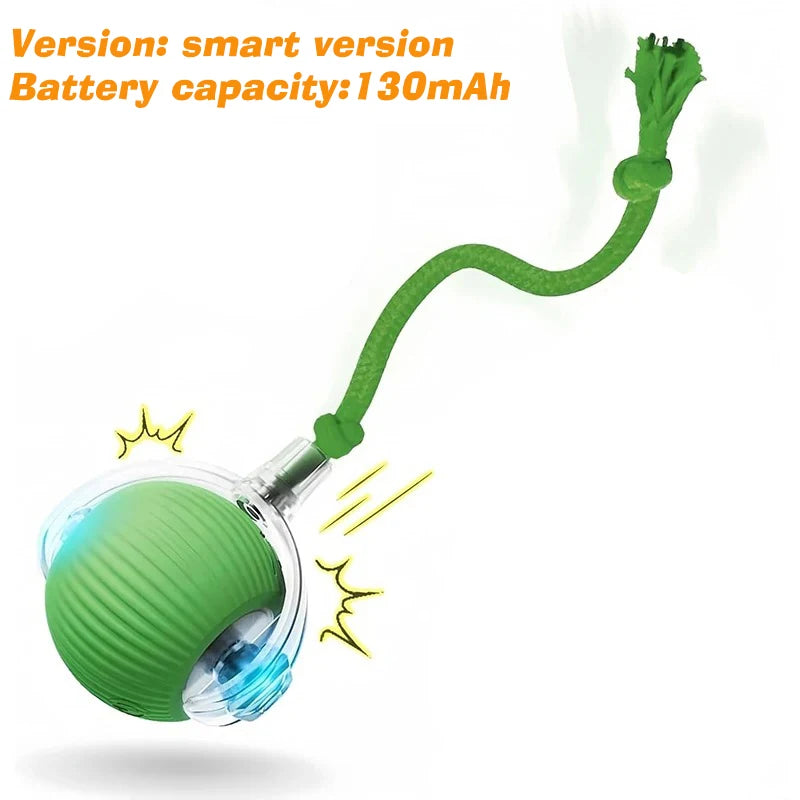 Ormollo™ Automatic Rolling Dog Ball