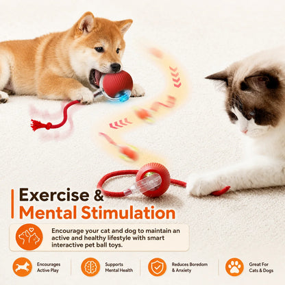 Ormollo™ Automatic Rolling Dog Ball
