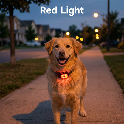 Ormollo™ LED Dog Collar Safety Light for Night Walks