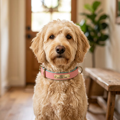 Ormollo™ Personalised Leather Dog Collar with Engraved ID Plate