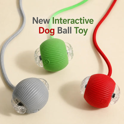 Ormollo™ Automatic Rolling Dog Ball